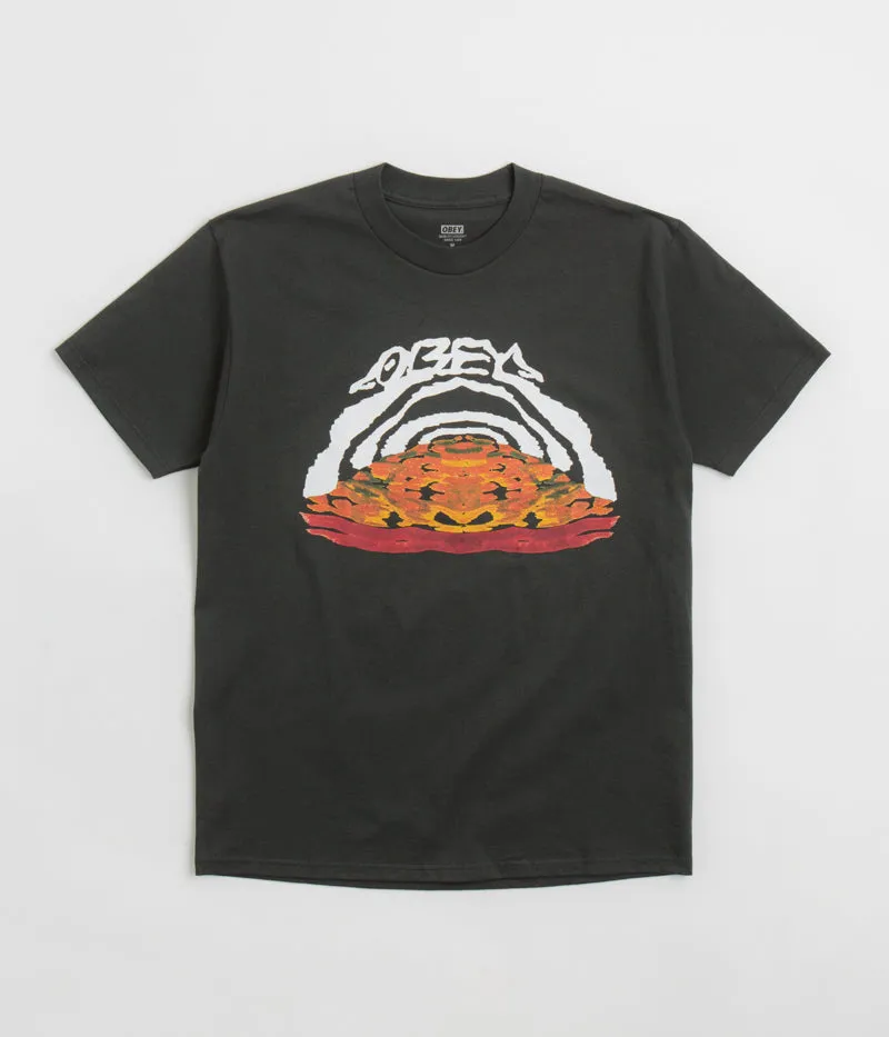 Obey Take The Leap T-Shirt - Vintage Black