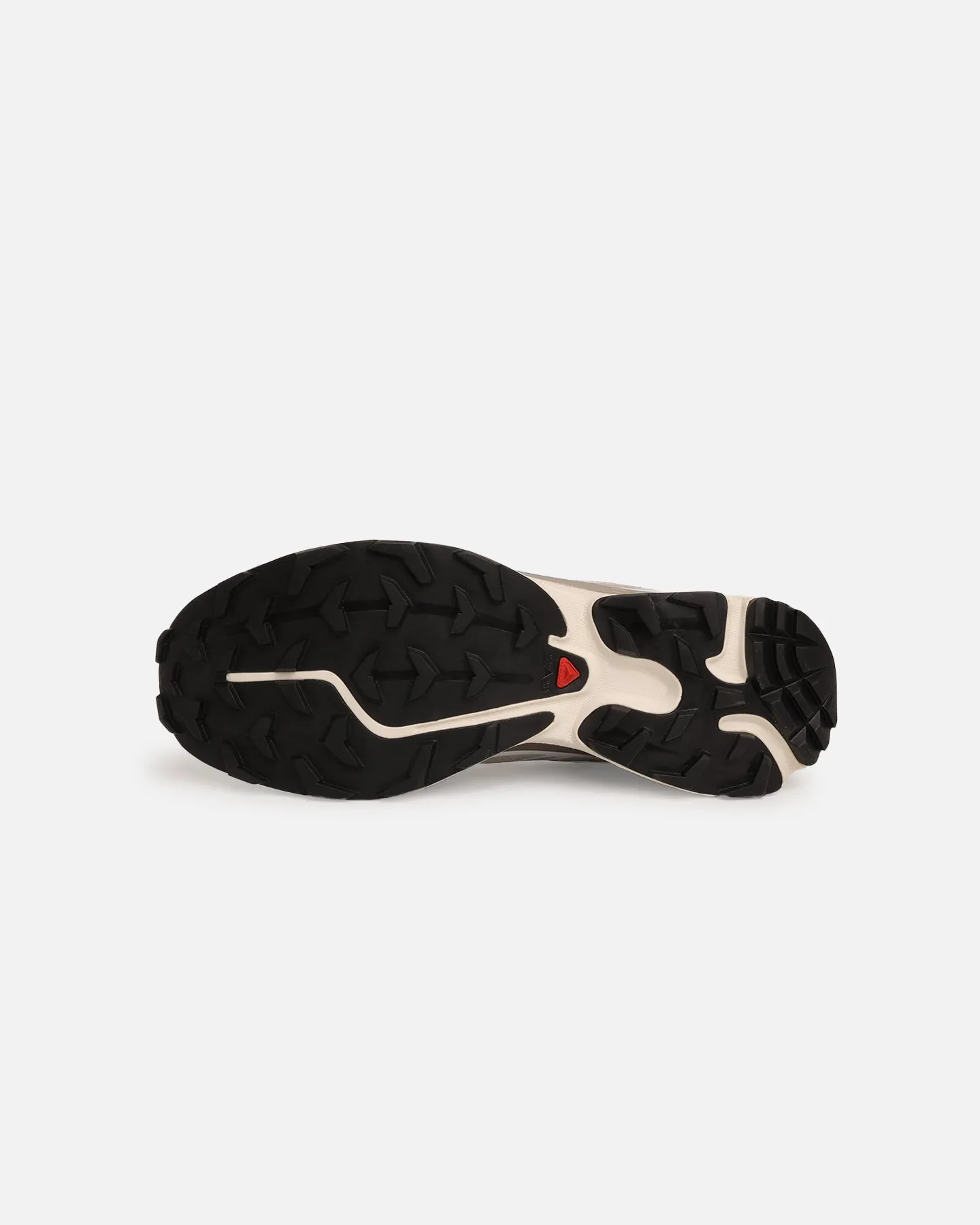 Salomon XT-6 Silver