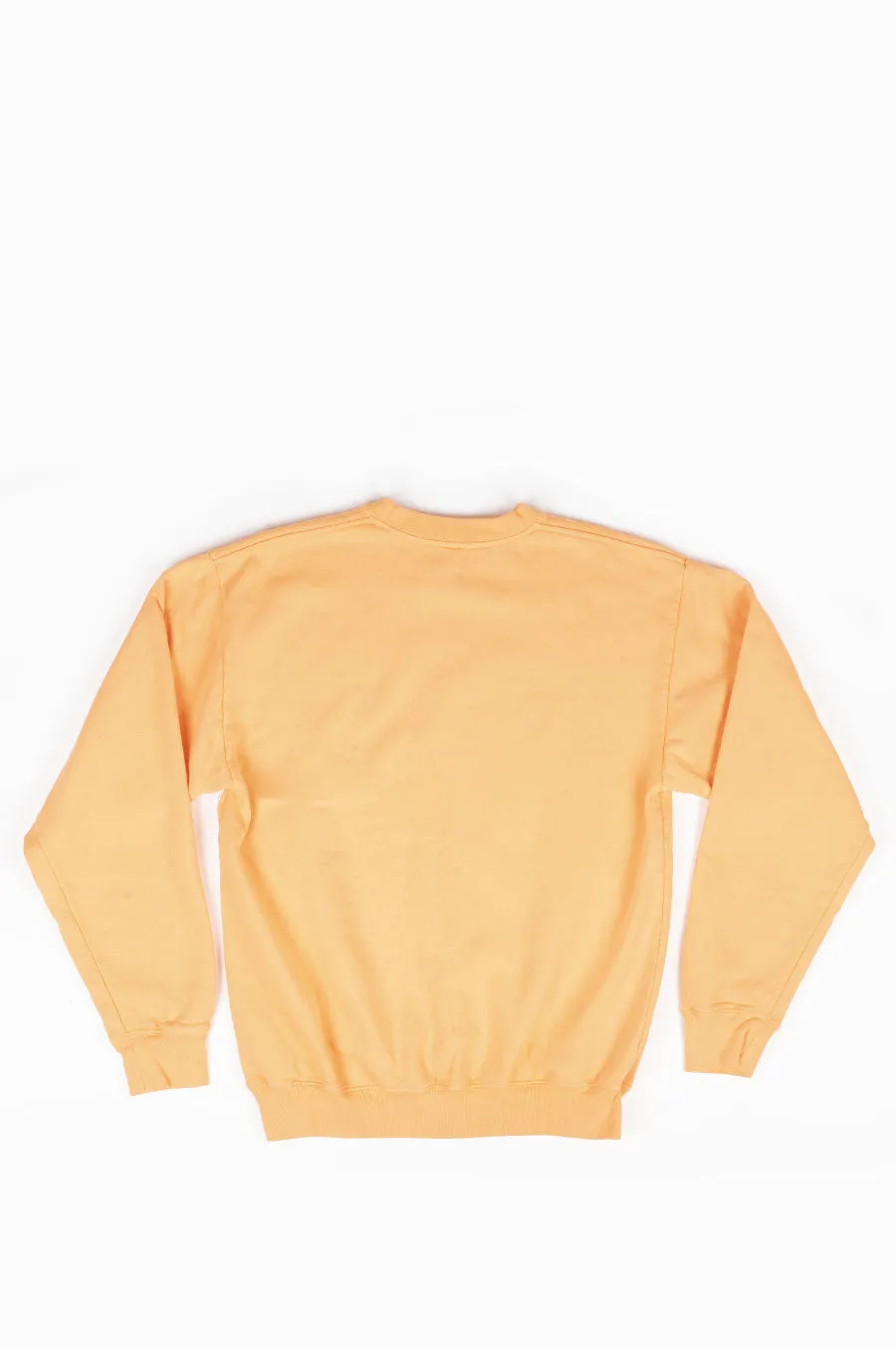 SPORTY AND RICH WELLNESS CREWNECK GUAVA