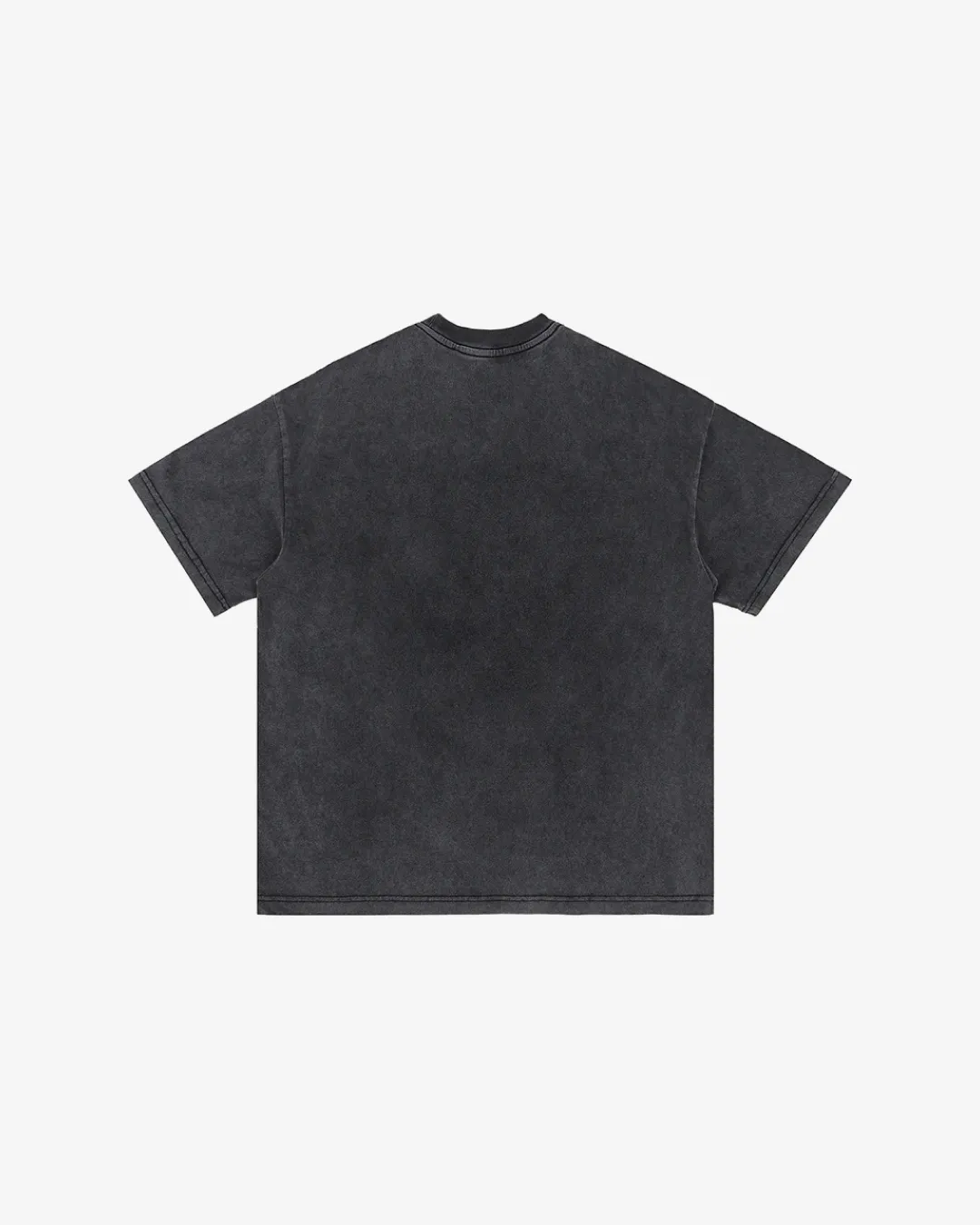 Washed Champions T-Shirt