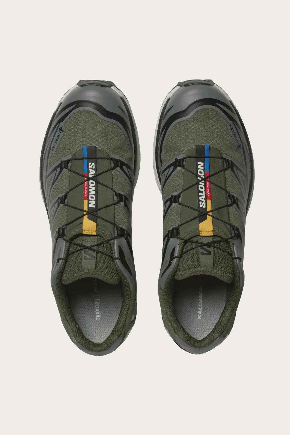 XT-6 GTX - Olive Night/Sedona Sage/Black